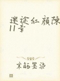 迷途红颜陈梦洁11章
