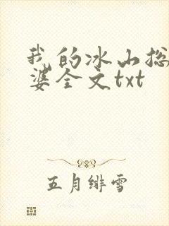 我的冰山总裁老婆全文txt
