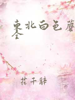 东北白色蘑菇大全