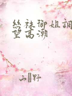 丝袜御姐调教绝望高潮