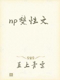 np双性文