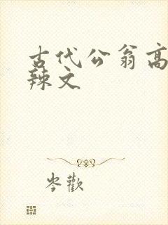 古代公翁高h肉辣文