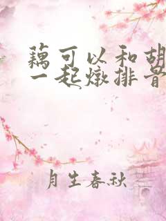 藕可以和胡萝卜一起炖排骨吗