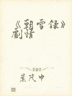 《朝雪录》分集剧情