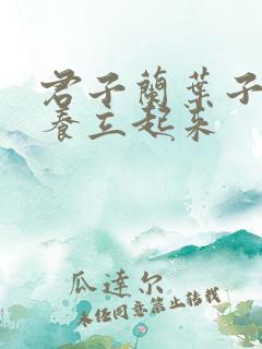 君子兰叶子怎么养立起来 君子兰叶子怎么养立起来