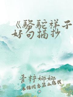 《骆驼祥子》的好句摘抄