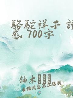 骆驼祥子 读后感 700字