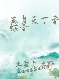 五月天丁香亚洲综合
