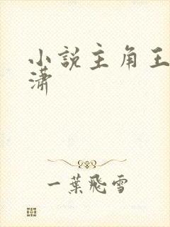 小说主角王东唐潇