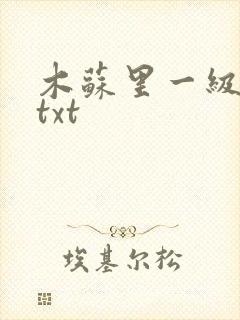 木苏里一级律师txt