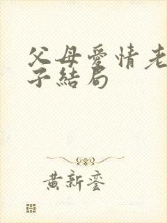 父母爱情老丁儿子结局