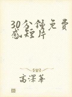 30分钟免费情感短片