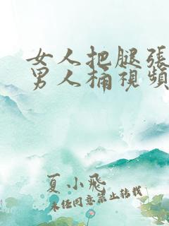 女人把腿张开让男人桶视频