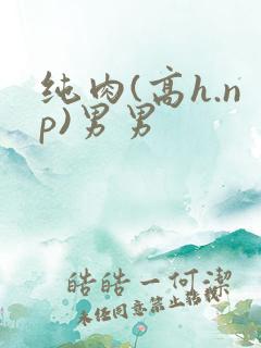 纯肉(高h.np)男男