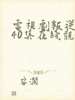 电视剧叛逆者第40集在线观看