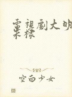 电视剧大明风华朱棣