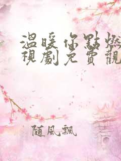 温暖你点燃我电视剧免费观看全集