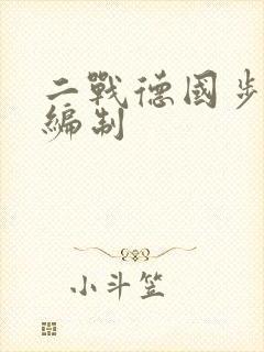 二战德国步兵排编制