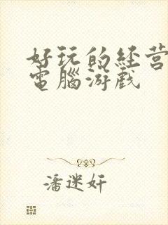 好玩的经营策略电脑游戏