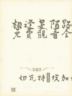相逢是陌路短剧免费观看全集