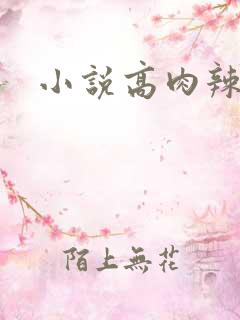 小说高肉辣文