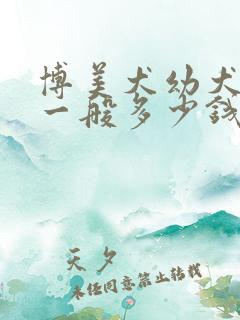 博美犬幼犬价格一般多少钱一只