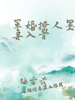军婚撩人墨少宠妻入骨