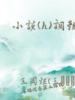 小说(h)调教