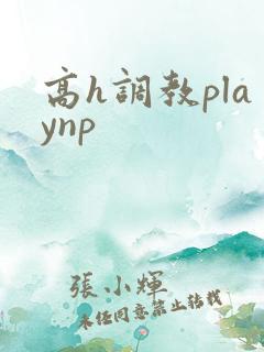高h调教playnp