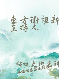 东方卫视新闻男主持人