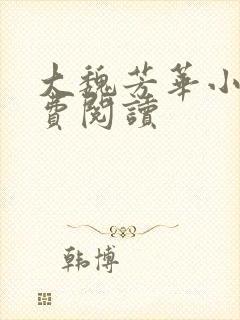 大魏芳华小说免费阅读