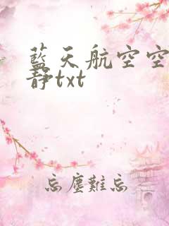 蓝天航空空姐王静txt