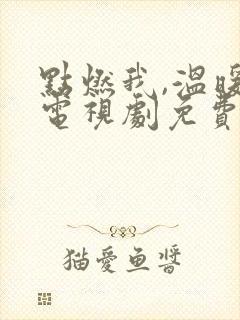 点燃我,温暖你电视剧免费观看全集在线播放
