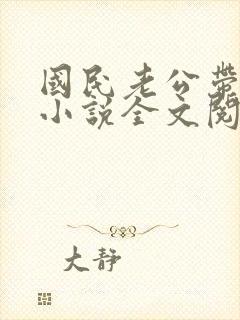 国民老公带回家小说全文阅读