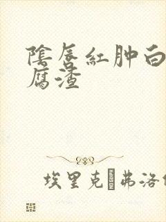 阴唇红肿白带豆腐渣