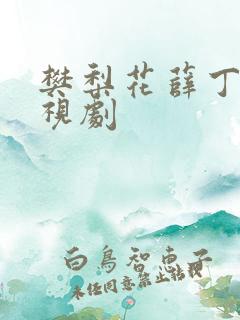 樊梨花薛丁山电视剧