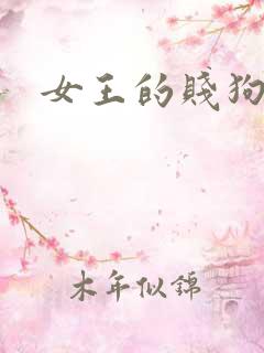 女王的贱狗奴