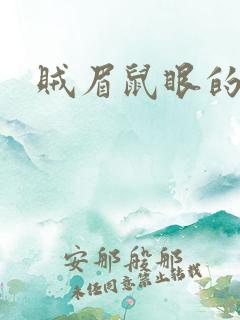 贼眉鼠眼的小说 贼眉鼠眼的小说