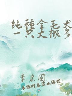 纯种金毛犬幼犬一只大概多少钱