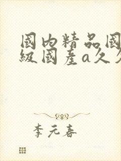 国内精品国产三级国产a久久