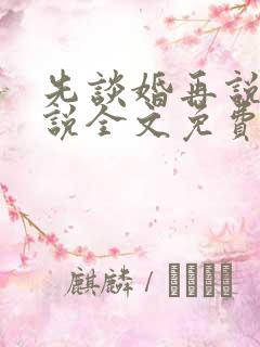 先谈婚再说爱小说全文免费阅读
