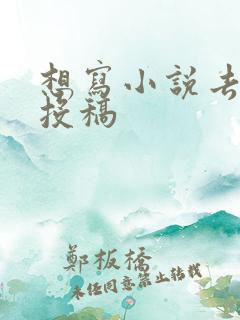 想写小说去哪里投稿