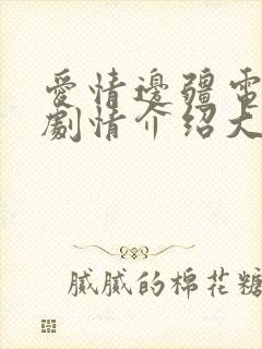 爱情边疆电视剧剧情介绍大结局