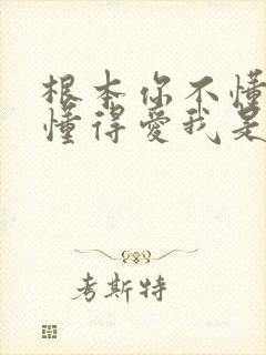 根本你不懂得不懂得爱我是什么歌