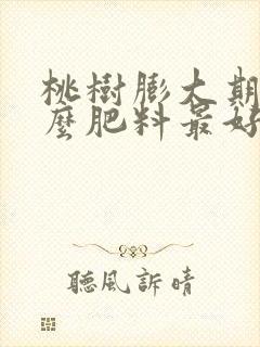 桃树膨大期施什么肥料最好