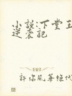 小说:下堂王妃逆袭记
