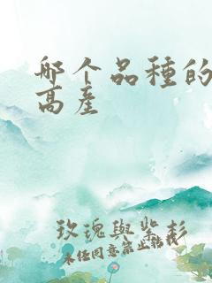 哪个品种的辣椒高产 哪个品种的辣椒高产