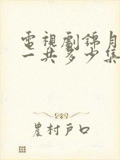 电视剧锦月如歌一共多少集