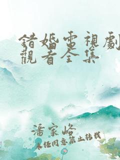 错婚电视剧免费观看全集