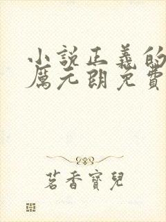 小说正义的使命厉元朗免费阅读全文